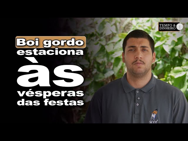 Boi gordo estável em compasso de festas de fim de ano, informa Rodrigo De Mundo, da Scot Consultoria