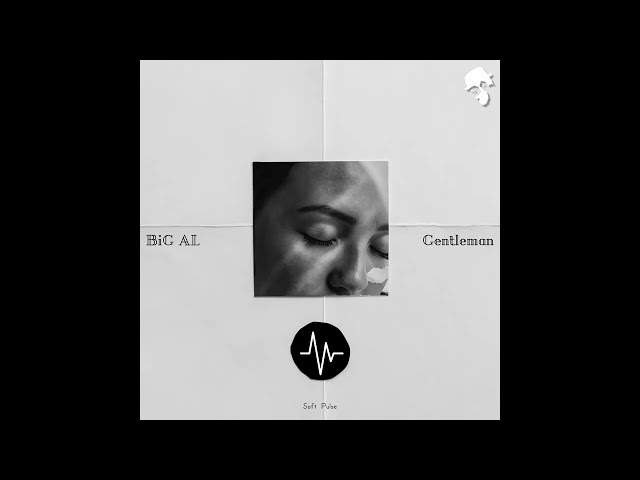 Gentleman & BiG AL - Soft Pulse (Original Mix)