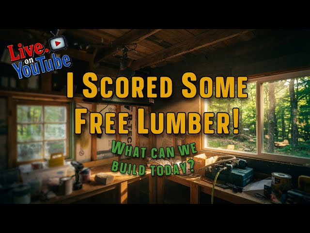 LIVE from the Bug Out Cabin - I scored some free lumber!