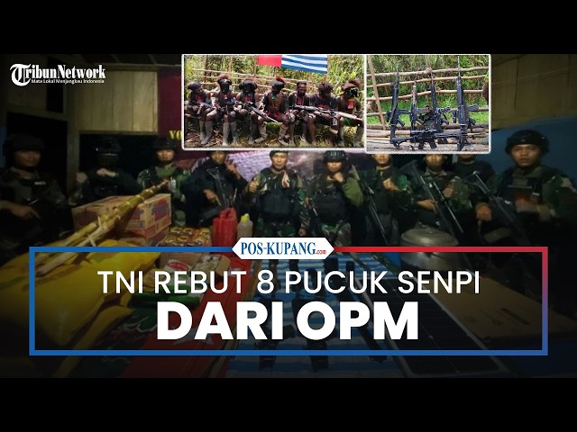 TNI Seizes 8 Firearms from OPM During Papua Operation
