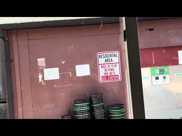 Penguinz0 is sending bees after me 