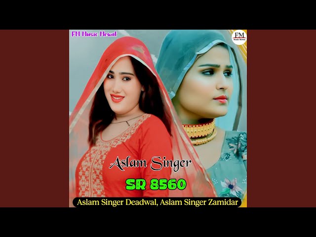Aslam Singer SR 8560