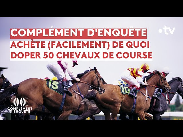 Complément d'enquête - Courses hippiques : la grande triche ?