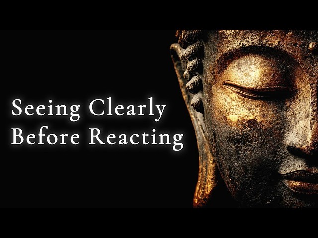 Seeing Clearly Before Reacting — Buddhist Wisdom