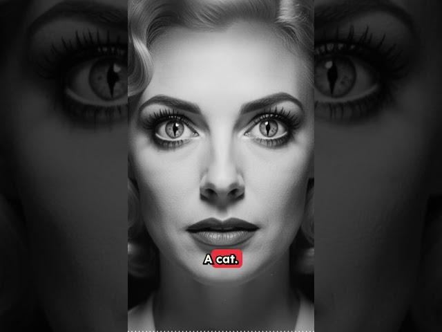 Lights Out – “Arch Oboler’s Cat Wife”