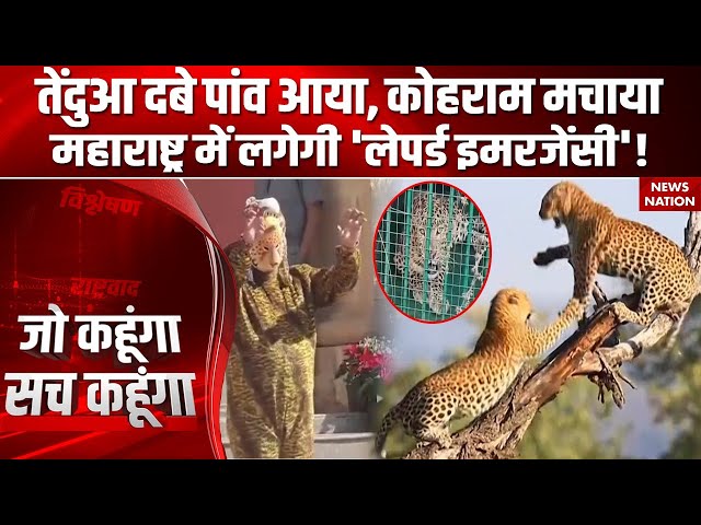 Maharashtra Leopard Attack: तेंदुओं को लेकर एक्शन में CM Fadnavis, Africa  भेजने की तैयारी