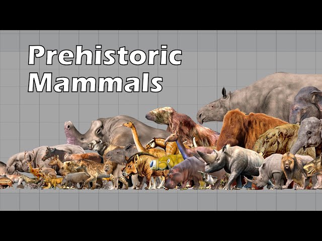 Size Comparison of Animals: the Prehistoric Mammals