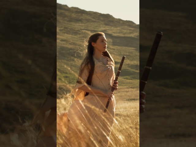 Riders of Rohan - The Lord of the Rings - tin whistle version! ✨ #tinwhistle #shorts