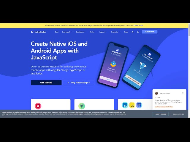 Learn Angular or React?