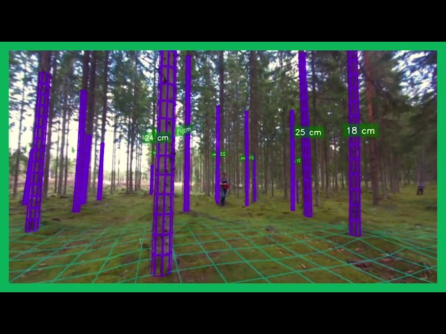 Forest measurement by autonomous drone