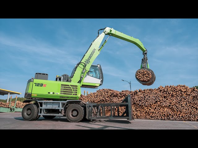 The wood sorting plant Holtec in Karo