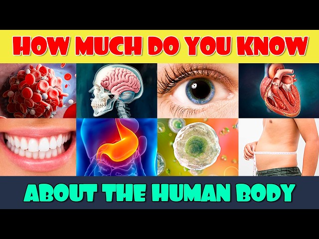 How Much Do You Know About the Human Body?