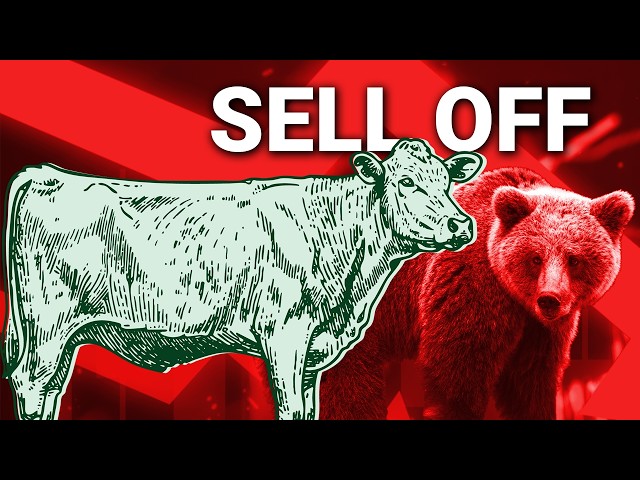 Sell Off Pre Report | Cattle Market Talk May 22nd, 2026