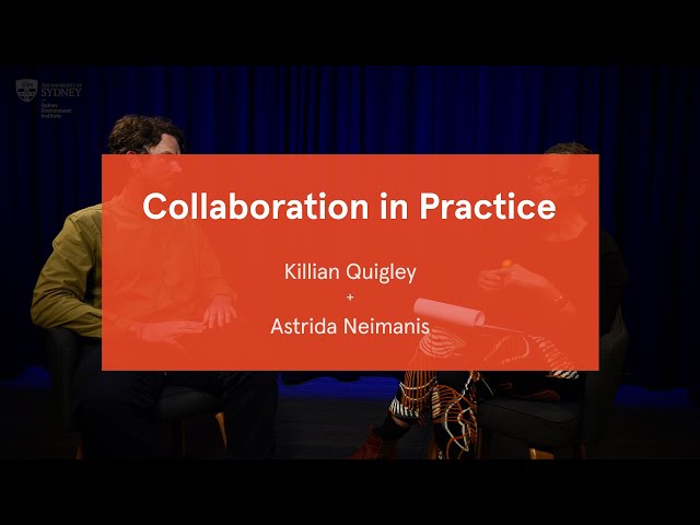 Collaboration in Practice: Difference, Dissent and Trust