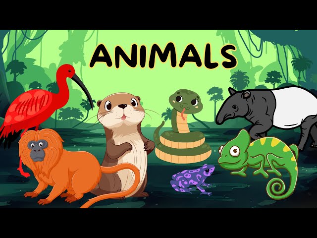 Animals for Kids | Animals in Amazon | Wild Animals | Toddlers Educational Video | Animals Names