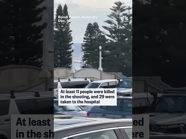 Suspected gunmen in Australia seen on bridge in Bondi Beach