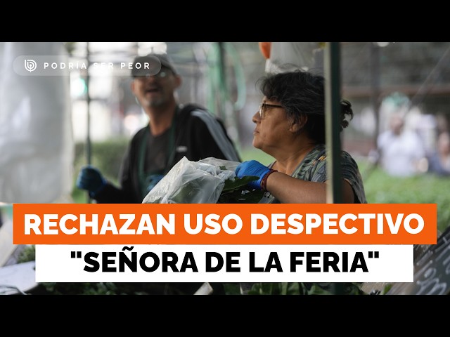 "Out of touch with the real Chile": Street market association rejects Camila Flores' comments