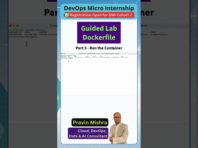 Dockerfile Guided Lab Part 3 - Run the container