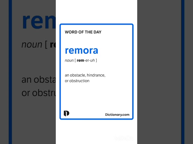 Word of the day #shorts #english #vocabulary #englishspeaking
