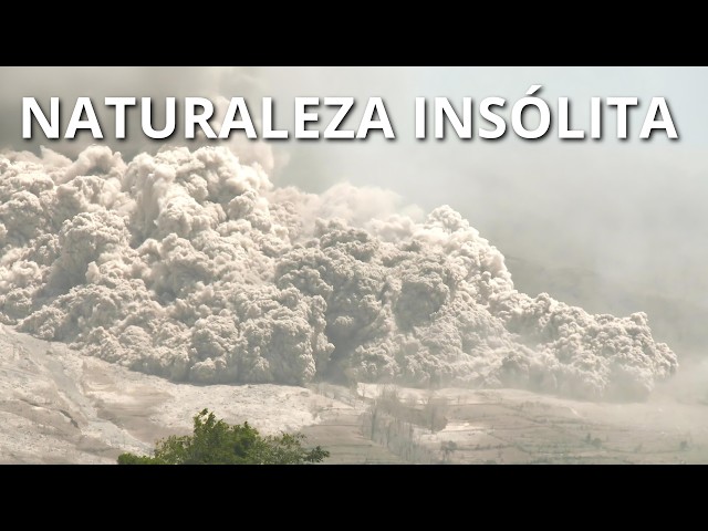 NATURALEZA INSÓLITA | Fenómenos naturales que No parecen reales