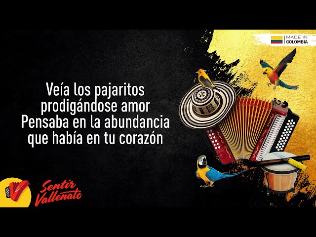 No Pude Olvidarte, Binomio De Oro De América, Video Letra - Sentir Vallenato