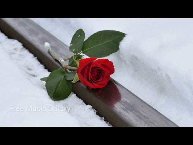 The day I met Her Classical & Romantic Music