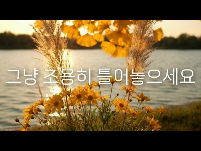 𝑷𝒍𝒂𝒚𝒍𝒊𝒔𝒕 (가사X) 🌻황금빛 가을 호숫가 들꽃 | 따뜻한 감성 🎶 | Golden autumn wildflowers lo-fi