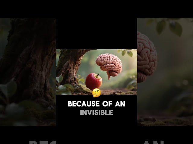 Are we in a GAME? James Webb Found the Universe's Source Code