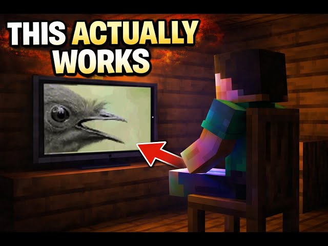 This Minecraft TV Actually Plays Video (Link to Tools and Mod in Description)