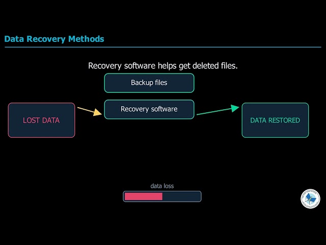 Class 12 Computer Science Chapter 1 | Data Backup Recovery & Usability