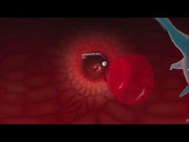 Mission Pathogen: Luminex Virtual Reality Experience - Bloodstream Infection