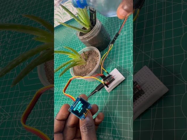 Can This Sensor Tell If Your Plant Needs Water? 🌱💧 | ESP32 Soil Moisture sensor test With Oled scre.