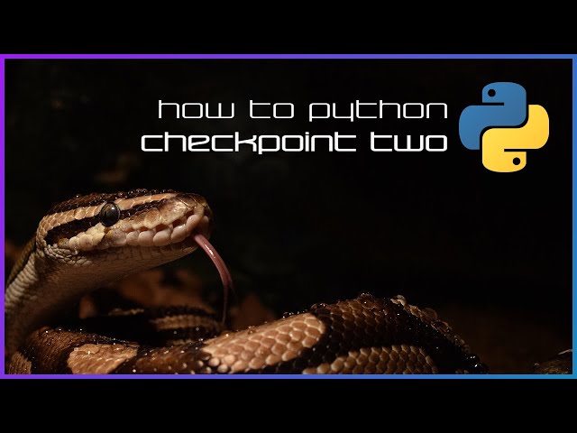 Checkpoint 2 - How to Python