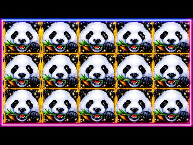 ¡Saqué un bono INSANO en la máquina tragamonedas Dragon Link Panda Magic!