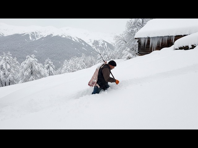 1 Meter Snowfall in Mountain Village - 7Days Without Food - Grandpa Risks His Life Dragging 17 Goats