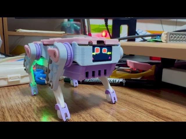 My Robot's Eyes Got Moods 👀 I Vibe-Coded It in 15 Minutes | Quaddle Physical AI Kit