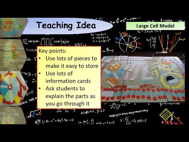 A Level Biology:  Teaching using a large cell model