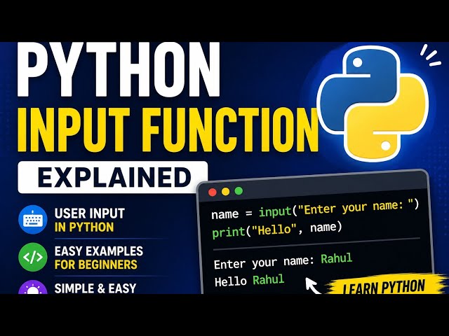 Python input() Function with Real Examples | User input function 