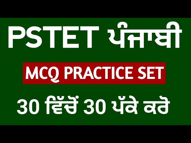 PSTET 2024 Punjabi | Paper 1 | Paper 2 | Punjabi By Study Fighters | pstet punjabi pedagogy