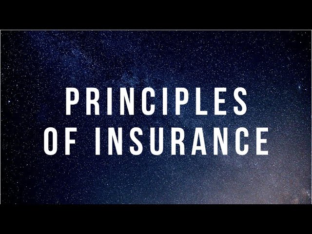 7. Principles of Insurance