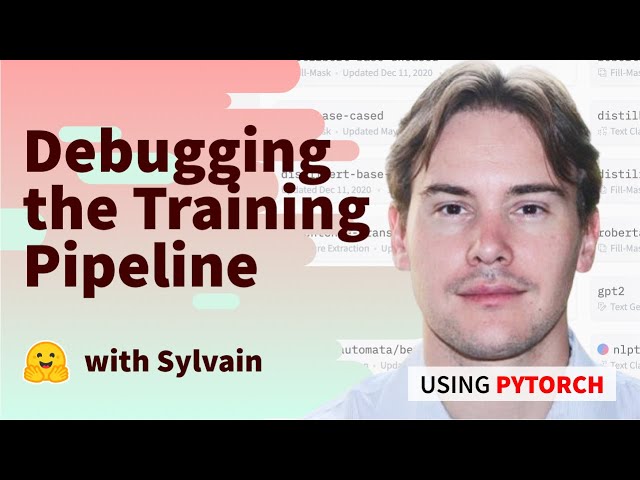 Debugging the Training Pipeline (PyTorch)