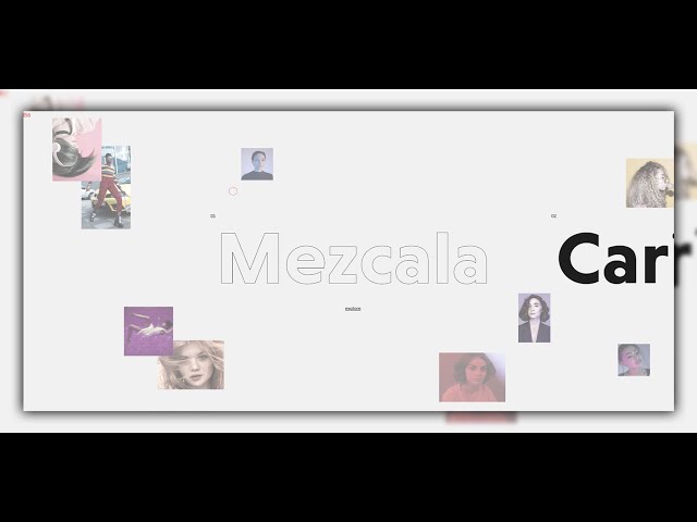 responsive gallery section using html css & js || image gallery using css grid