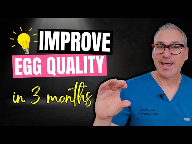 How to improve egg quality in 3 months