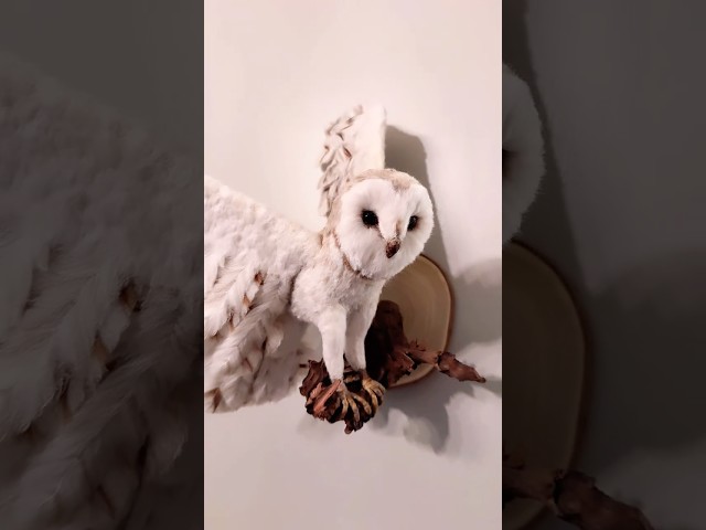 Needle Felted Owl #fiberart #diy #woolfelting #art #needlefelting #tutorial #woolart