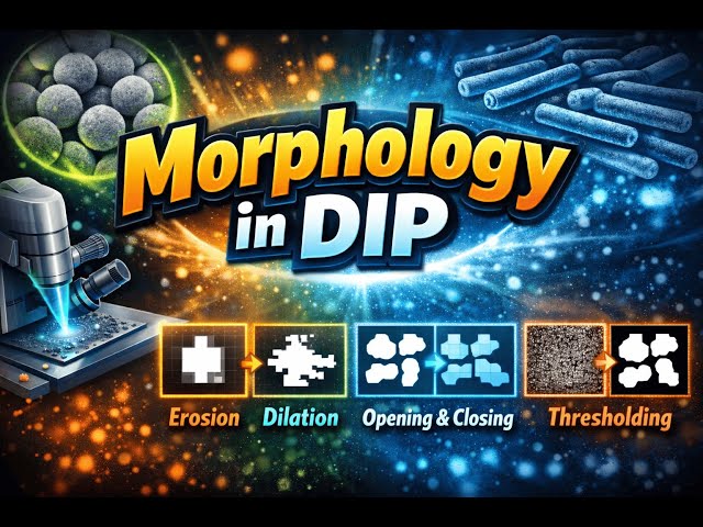 Morphology in DIP | Erosion, Dilation & Applications