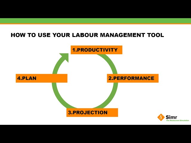 Simr Video Labour Tool