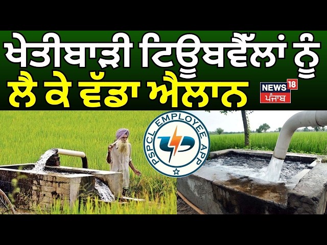 PSPCL Introduced VDS Scheme | ਖੇਤੀਬਾੜੀ ਟਿਊਬਵੈੱਲਾਂ ਨੂੰ ਲੈ ਕੇ ਵੱਡਾ ਐਲਾਨ | Tubewell Connections | N18V
