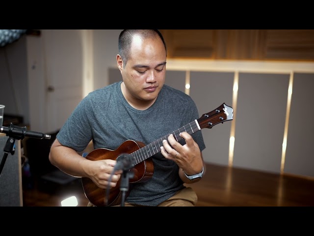 Singer Mahogany Tenor RT1M TS
