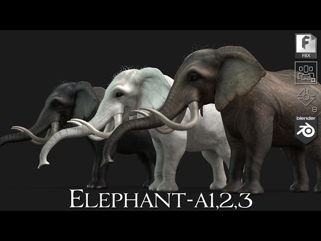 Elephant_A1,2,3