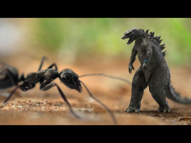Micro-Godzilla: King of the Insects